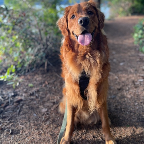 Meet your Posher, Kate - Picture 2 of 2